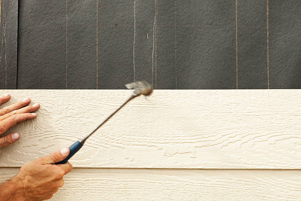 Best Insulated Siding Installation  in Del Rey, CA